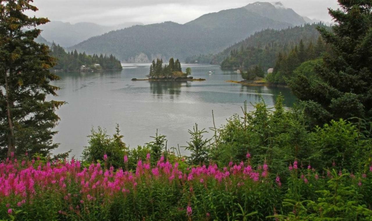 Stillpoint Lodge - All-Inclusive Halibut Cove المظهر الخارجي الصورة